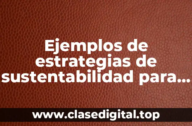 Ejemplos de estrategias de sustentabilidad para el escenario económico