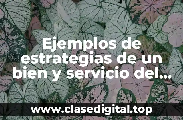 Ejemplos de estrategias de un bien y servicio del extranjero