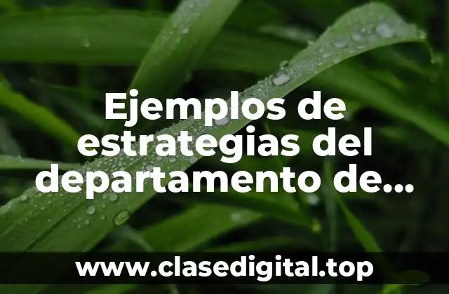 Ejemplos de estrategias del departamento de recursos humanos
