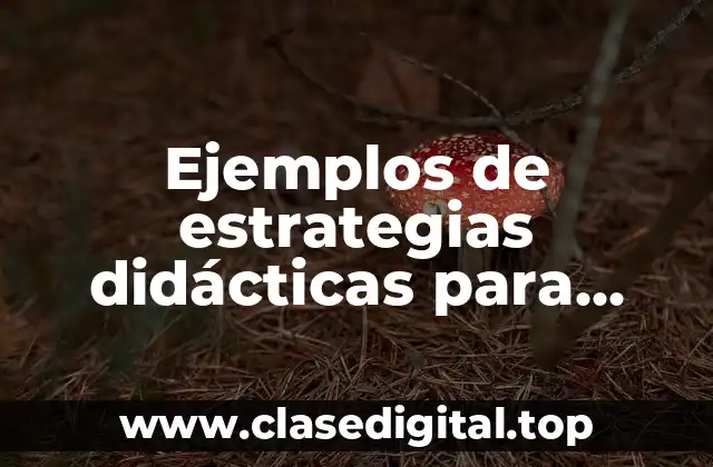 Ejemplos de estrategias didácticas para español bloque 1 secundaria