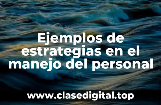 Ejemplos de estrategias en el manejo del personal