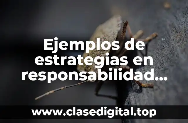 Ejemplos de estrategias en responsabilidad social empresarial de una