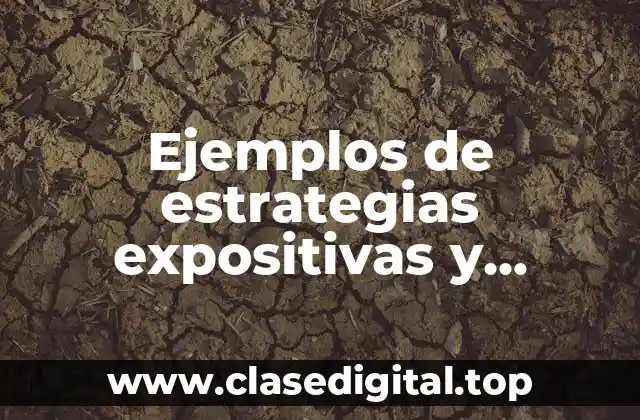 Ejemplos de estrategias expositivas