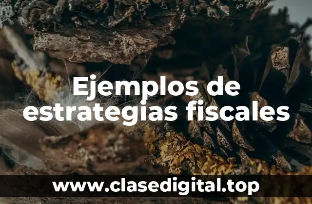 Ejemplos de estrategias fiscales