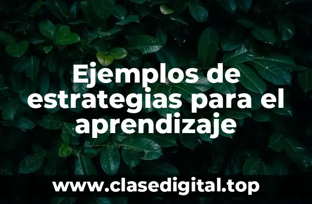 Ejemplos de estrategias para el aprendizaje