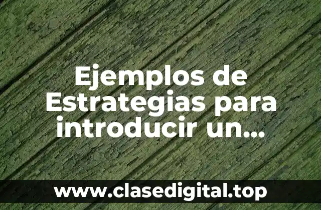 Ejemplos de Estrategias para introducir un producto al mercado