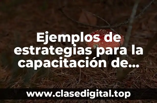 Ejemplos de estrategias para la capacitación de personal de salud