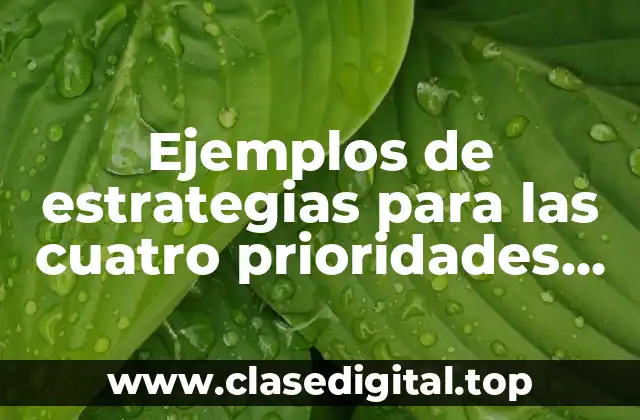 Ejemplos de estrategias para las cuatro prioridades educativas y Significado