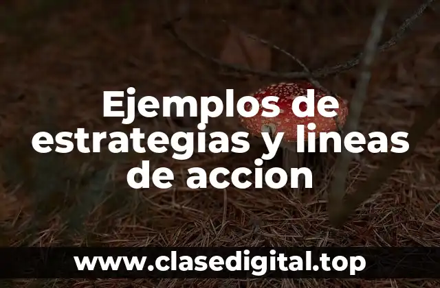 Ejemplos de estrategias y lineas de accion