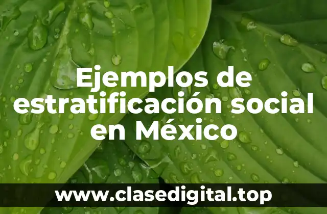 Ejemplos de estratificación social en México