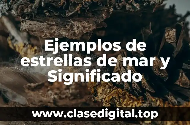 Ejemplos de estrellas de mar y Significado
