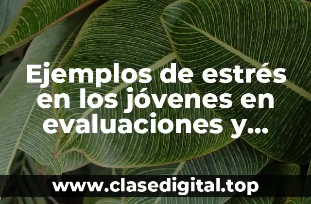 Ejemplos de estrés en los jóvenes en evaluaciones