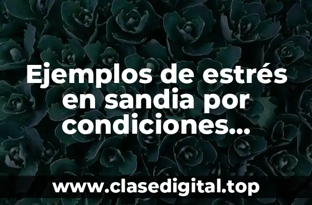 Ejemplos de estrés en sandia por condiciones ambientales