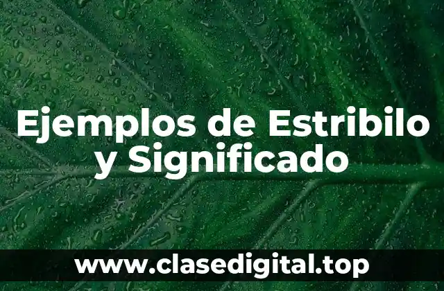 Ejemplos de Estribilo y Significado