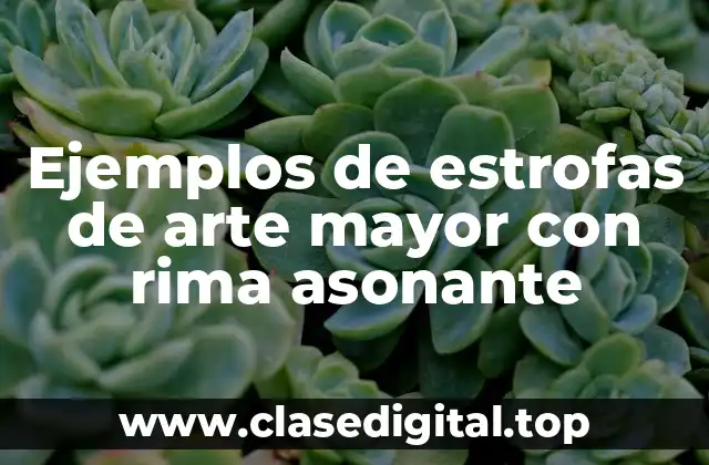 Ejemplos de estrofas de arte mayor con rima asonante