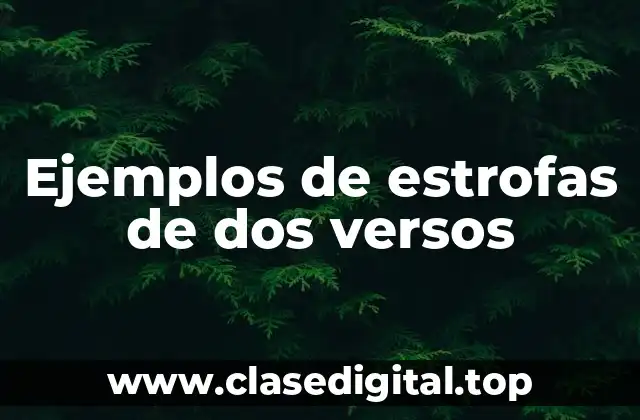 Ejemplos de estrofas de dos versos