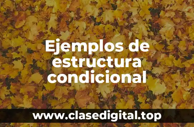 Ejemplos de estructura condicional