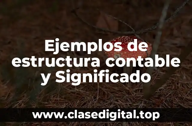 Ejemplos de estructura contable y Significado