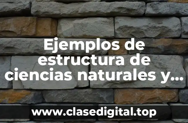 Ejemplos de estructura de ciencias naturales y sociales y Significado