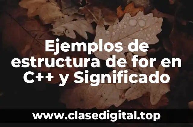 Ejemplos de estructura de for en C++