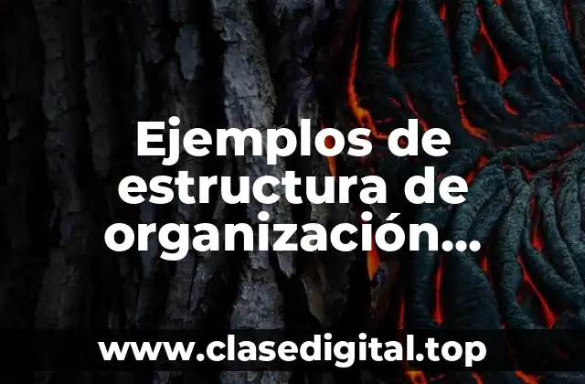 Ejemplos de estructura de organización funcional de hotel