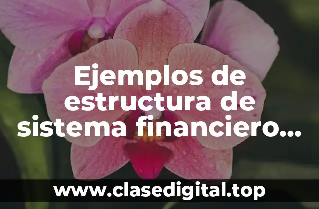 Ejemplos de estructura de sistema financiero de México