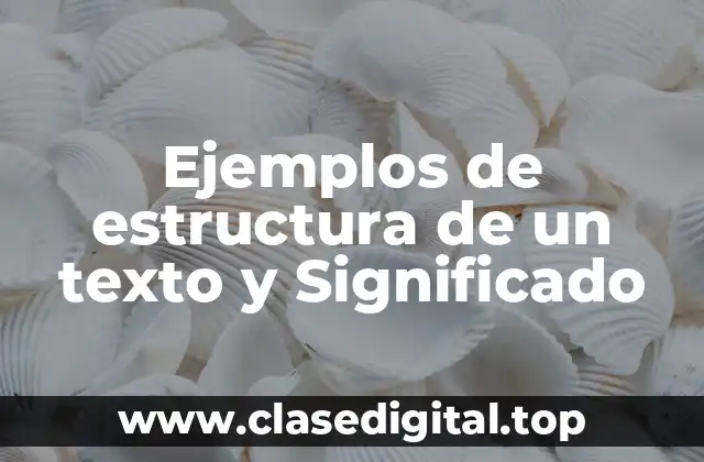 Ejemplos de estructura de un texto y Significado