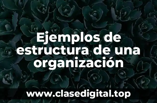 Ejemplos de estructura de una organización