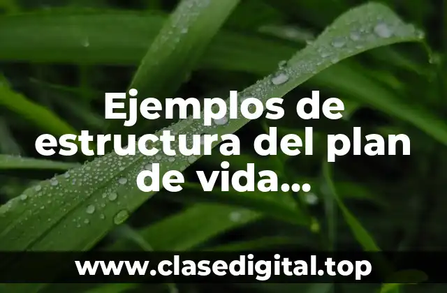 Ejemplos de estructura del plan de vida emprendedor