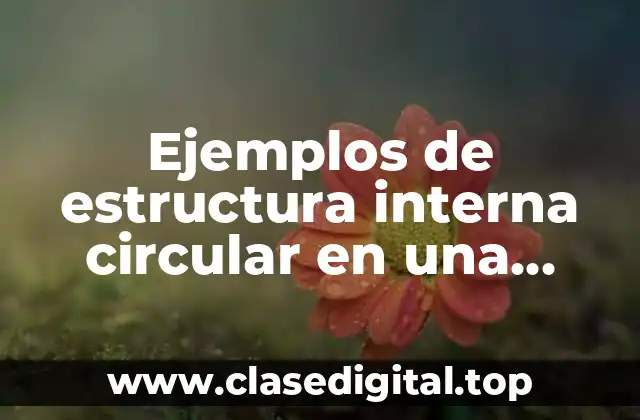 Ejemplos de estructura interna circular en una novela