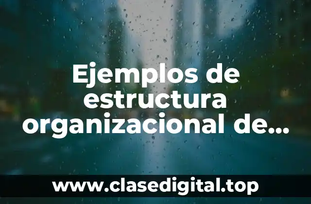 Ejemplos de estructura organizacional de una empresa pequeña