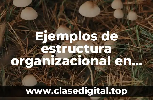 Ejemplos de estructura organizacional en una empresa agroindustrial