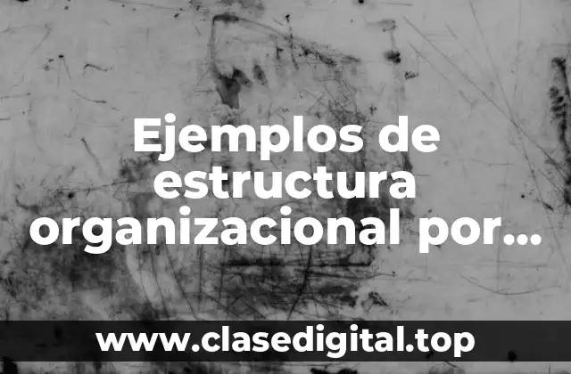 Ejemplos de estructura organizacional por proyecto y matricial