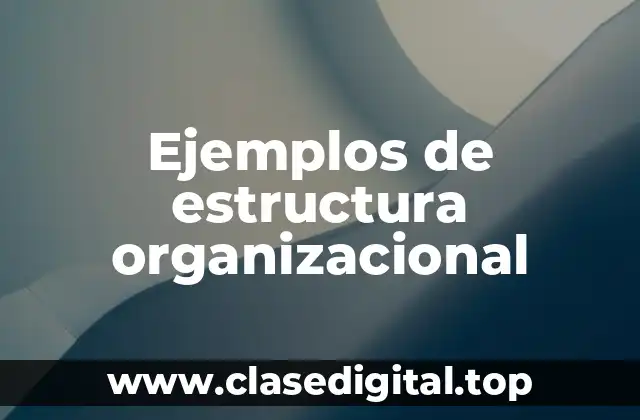 Ejemplos de estructura organizacional