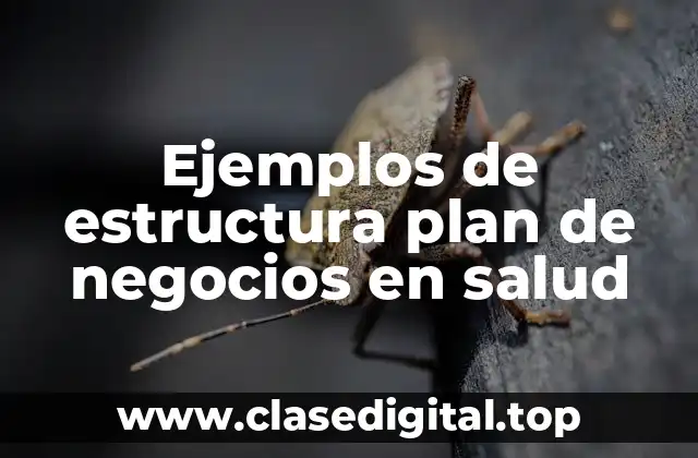 Ejemplos de estructura plan de negocios en salud