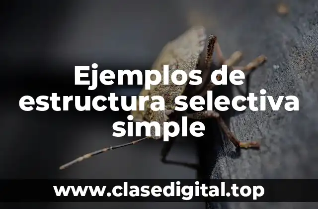 Ejemplos de estructura selectiva simple