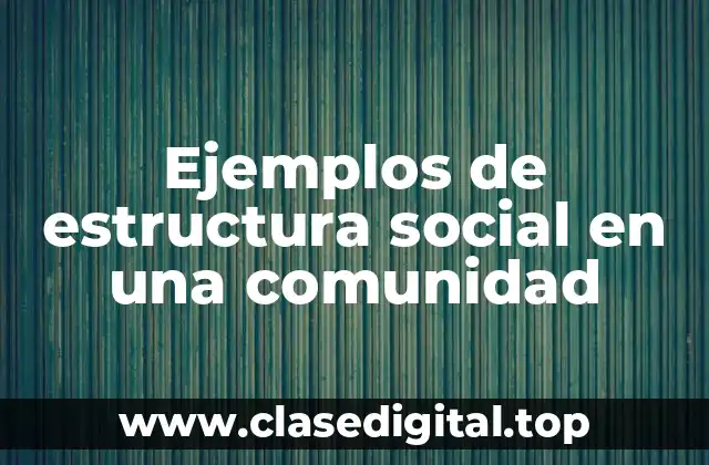 Ejemplos de estructura social en una comunidad