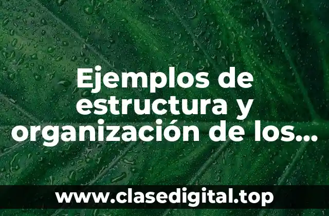 Ejemplos de estructura y organización de los seres vivos