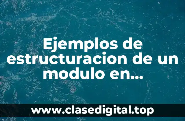 Ejemplos de estructuracion de un modulo en programacion