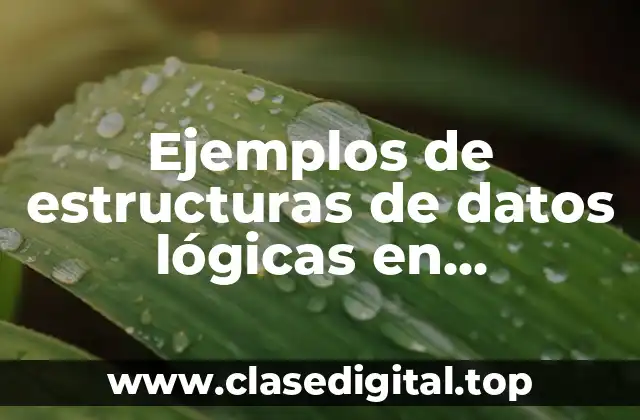 Ejemplos de estructuras de datos lógicas en computación