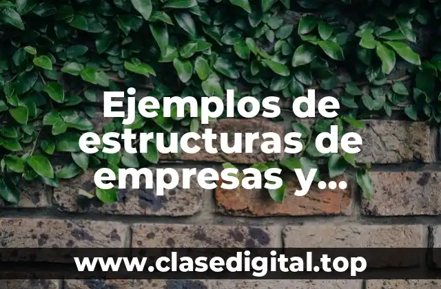 Ejemplos de estructuras de empresas y Significado