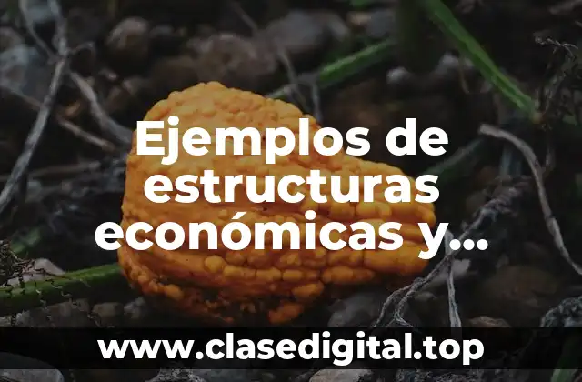 Ejemplos de estructuras económicas y Significado
