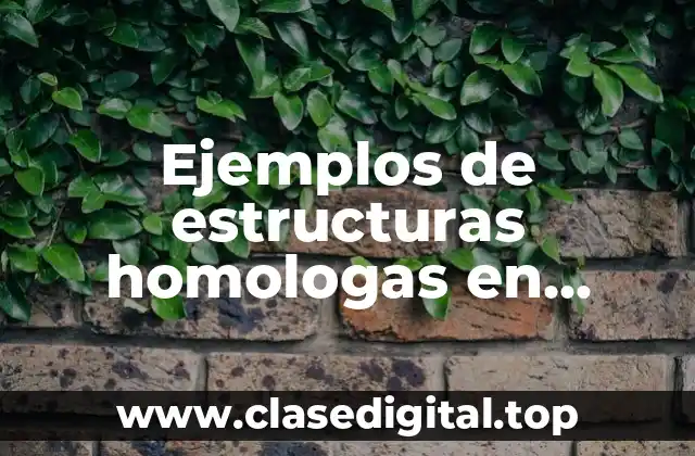 Ejemplos de estructuras homologas en animales y Significado