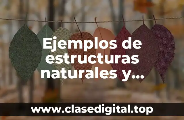 Ejemplos de estructuras naturales y Significado