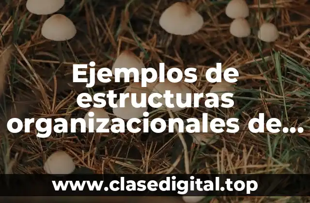 Ejemplos de estructuras organizacionales de empresas reales