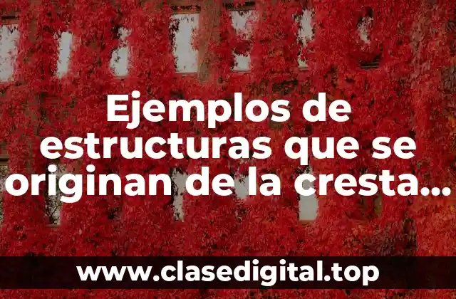 Ejemplos de estructuras que se originan de la cresta neural