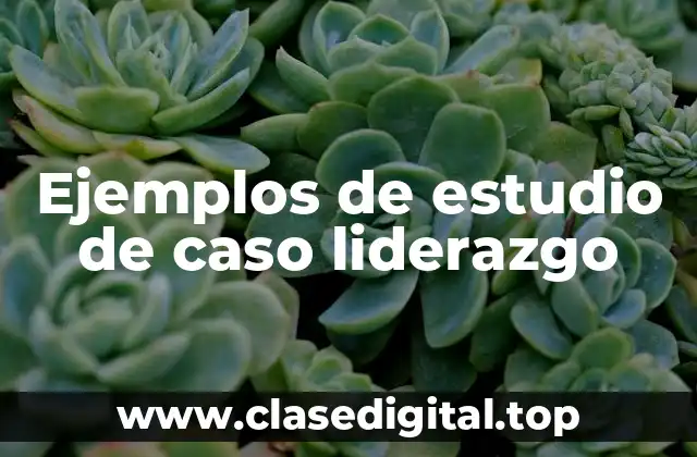 Ejemplos de estudio de caso liderazgo