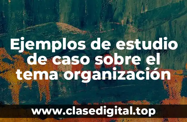 Ejemplos de estudios de caso sobre el tema organización