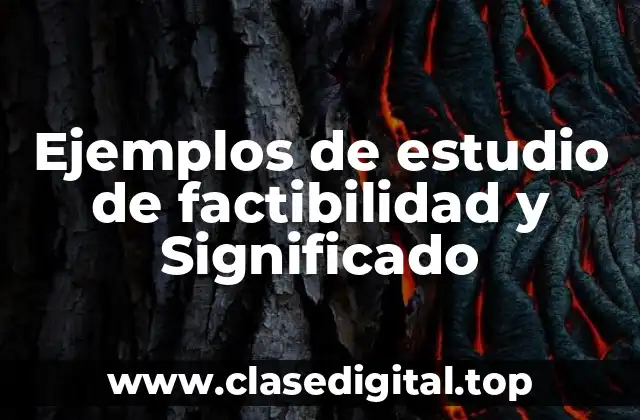 Ejemplos de estudio de factibilidad