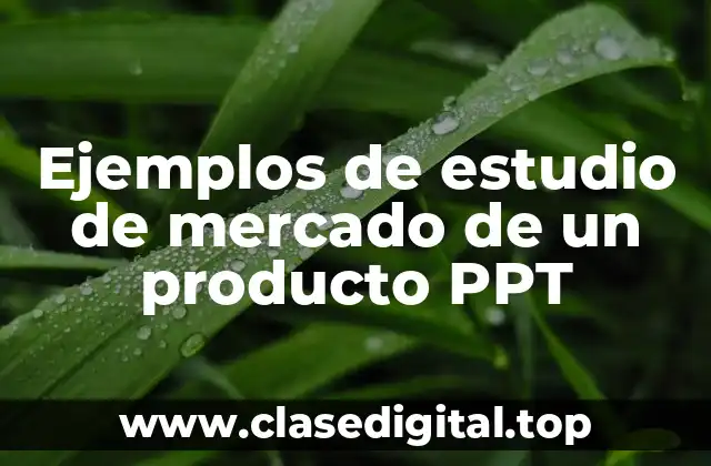 Ejemplos de estudio de mercado de un producto PPT
